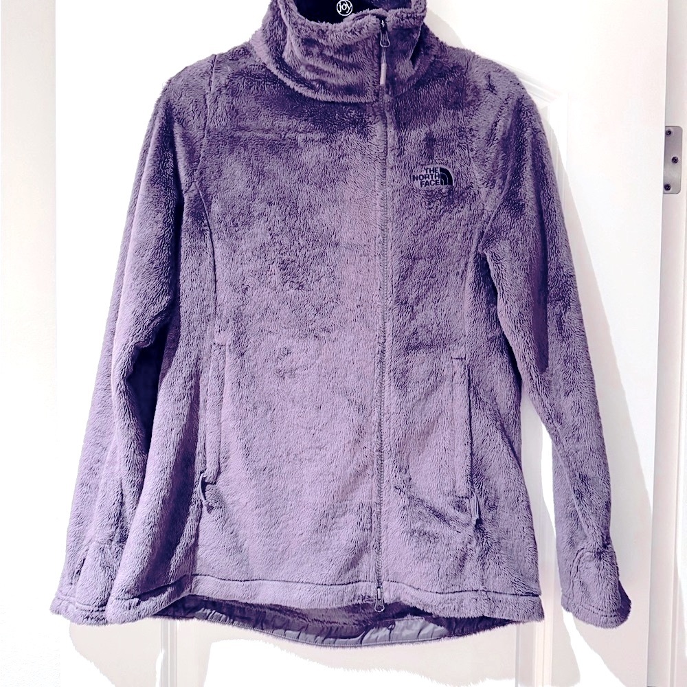 The North Face Jacket Gray